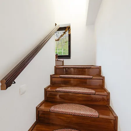 Pensiunea Ioana Guest house