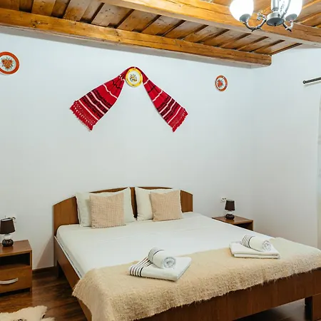 Guest house Pensiunea Ioana