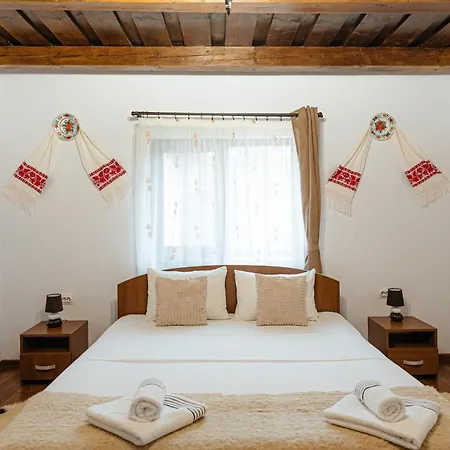 Guest house Pensiunea Ioana *