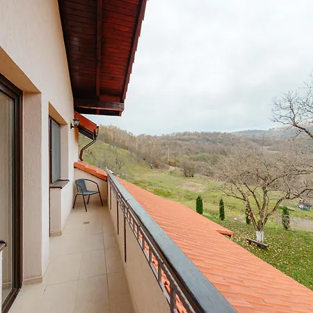 Guest house Pensiunea Ioana Poeni