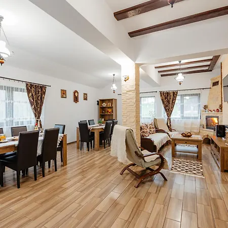 Pensiunea Ioana Guest house