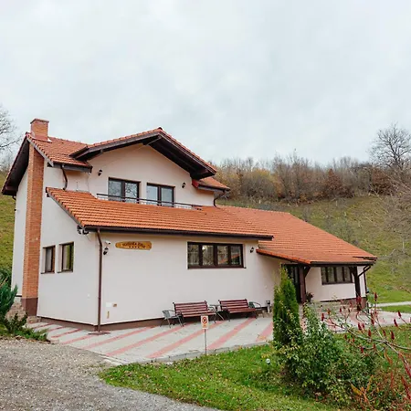 Pensiunea Ioana Guest house