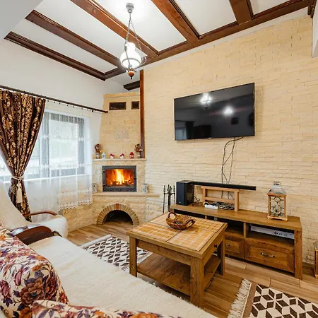 Pensiunea Ioana Guest house *