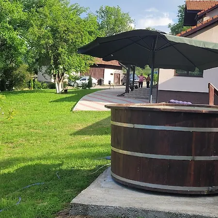Pensiunea Ioana Guest house *