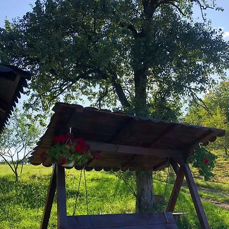 Pensiunea Ioana Guest house *