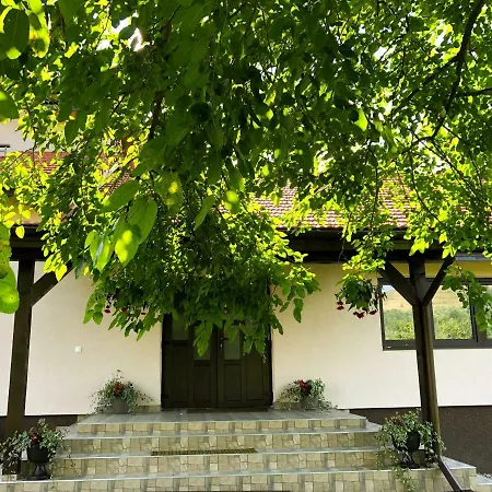 Pensiunea Ioana Guest house